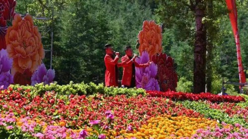 6月13日，“2023中國花兒大會(huì)”將盛大開幕